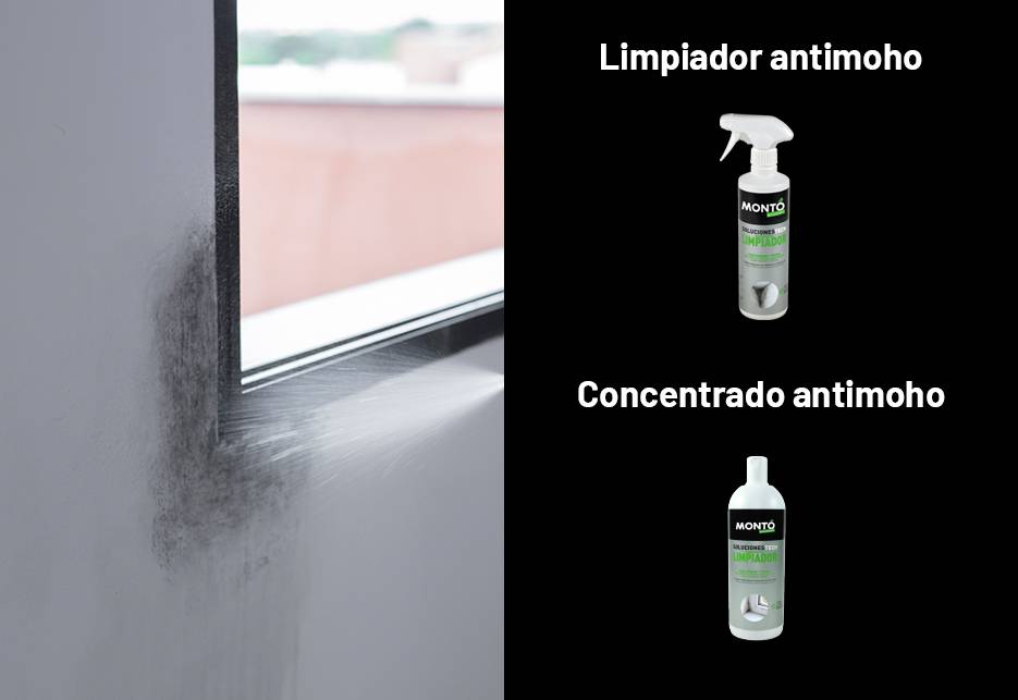 Descubre el antimoho que, en pocos minutos, limpiará y desinfectará tus  paredes - Blog de El Mundo del Pintor